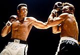 Unknown Artist Muhammad Ali Boxing Fights painting
